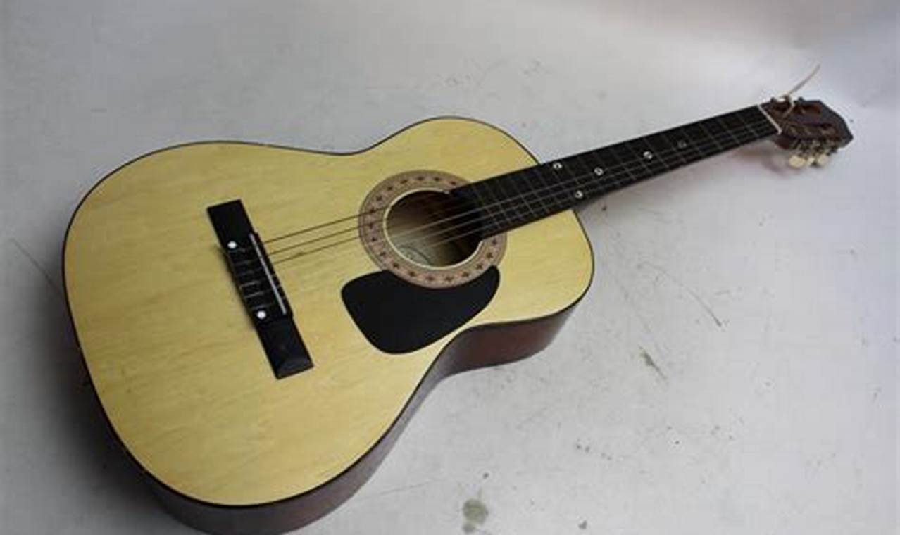 Unveiling the Acoustic Masterpiece: Discover the Secrets of Synsonics Acoustic Guitar - Master the Art of Playing Guitar and Play Like a Pro