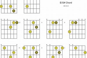 Unveiling the E G Guitar Chord: Discoveries and Insights for Masterful Playing - Master the Art of Playing Guitar and Play Like a Pro
