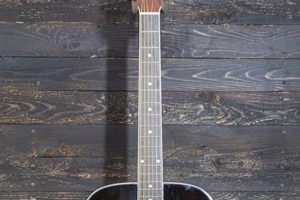 Unveiling the Sonic Brilliance of Tanara Acoustic Guitars: A Journey of Discovery - Master the Art of Playing Guitar and Play Like a Pro