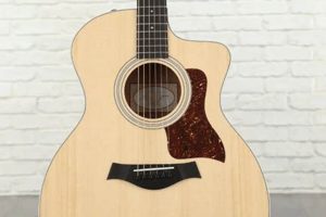 Unveil the Secrets of the Taylor 214ce: A Journey to Sonic Excellence - Master the Art of Playing Guitar and Play Like a Pro
