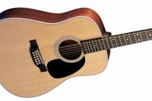 Unveiling the Martin Twelve String Guitar: A Journey of Discovery and Sonic Brilliance - Master the Art of Playing Guitar and Play Like a Pro