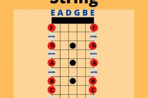 Unleash the Power of the Sixth String Guitar: Discoveries and Insights Master the Art of Playing Guitar and Play Like a Pro Unleash the Power of the Sixth String Guitar: Discoveries and Insights - Master the Art of Playing Guitar and Play Like a Pro