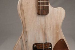 Unleash the Sonic Power: Discoveries in Three String Electric Guitar - Master the Art of Playing Guitar and Play Like a Pro