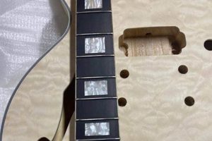 Unveiling the Secrets of Electric Guitar Clearance: Discoveries and Insights Await - Master the Art of Playing Guitar and Play Like a Pro