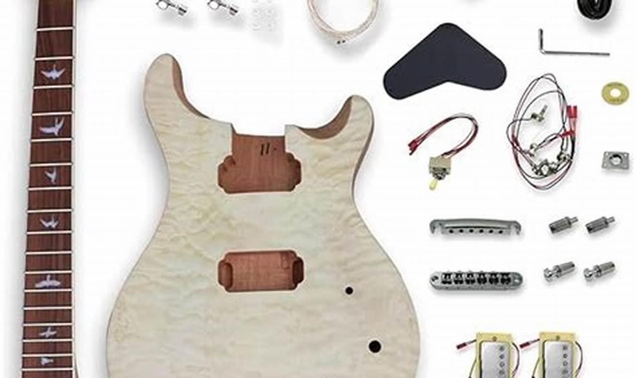 Discoveries Within: Unveiling the Secrets of Electric Guitar Components Kits - Master the Art of Playing Guitar and Play Like a Pro