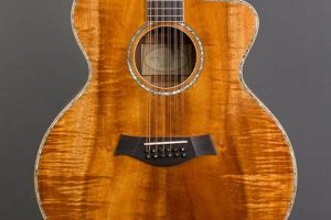 Unveiling the Enchanting World of Used Taylor 12-String Guitars: Discoveries and Insights - Master the Art of Playing Guitar and Play Like a Pro