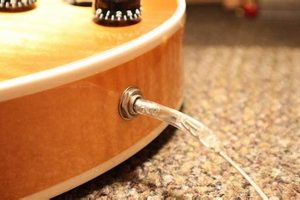 Unveiling the Secrets: Acoustic Guitar Output Jacks Simplified Master the Art of Playing Guitar and Play Like a Pro Unveiling the Secrets: Acoustic Guitar Output Jacks Simplified - Master the Art of Playing Guitar and Play Like a Pro