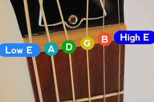 Unveil the Secrets of the Guitar Fretboard: Unveiling the Mystery Behind "What are the letters on guitar strings" Master the Art of Playing Guitar and Play Like a Pro Unveil the Secrets of the Guitar Fretboard: Unveiling the Mystery Behind "What are the letters on guitar strings" - Master the Art of Playing Guitar and Play Like a Pro