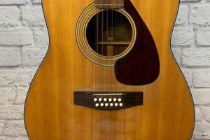Unveiling the Exceptional Yamaha FG 260: A Journey into 12-String Symphony Master the Art of Playing Guitar and Play Like a Pro Unveiling the Exceptional Yamaha FG 260: A Journey into 12-String Symphony - Master the Art of Playing Guitar and Play Like a Pro