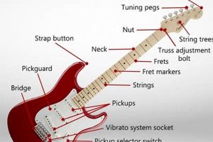 Unlock the Secrets of Your Electric Guitar: A Comprehensive Guide to Labeled Parts Master the Art of Playing Guitar and Play Like a Pro Unlock the Secrets of Your Electric Guitar: A Comprehensive Guide to Labeled Parts - Master the Art of Playing Guitar and Play Like a Pro