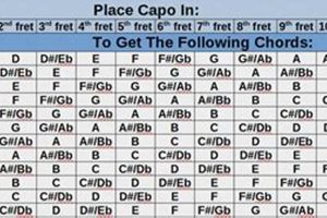 Unlock the Secrets of Chord Transposition: A Comprehensive Guide for Guitarists - Master the Art of Playing Guitar and Play Like a Pro