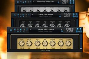 Unlock the Secrets of Acoustic Amp Sims: Discover Endless Possibilities and Transform Your Sound Master the Art of Playing Guitar and Play Like a Pro Unlock the Secrets of Acoustic Amp Sims: Discover Endless Possibilities and Transform Your Sound - Master the Art of Playing Guitar and Play Like a Pro