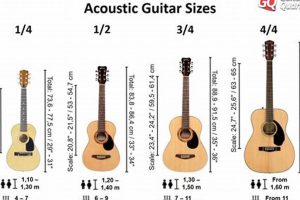 Unveiling the Secrets of Acoustic Guitar Weight: A Journey to Discoveries and Insights - Master the Art of Playing Guitar and Play Like a Pro