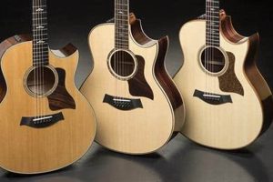 Unleash the Power of Acoustic Guitars with Cutaways: Discoveries and Insights - Master the Art of Playing Guitar and Play Like a Pro