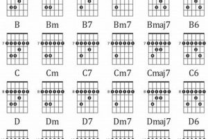 Unlock the Secrets to Barre Chords: The Ultimate Guide for Guitarists Master the Art of Playing Guitar and Play Like a Pro Unlock the Secrets to Barre Chords: The Ultimate Guide for Guitarists - Master the Art of Playing Guitar and Play Like a Pro