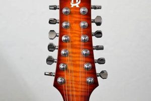 Unlock the Secrets of the 12-String Guitar Headstock Master the Art of Playing Guitar and Play Like a Pro Unlock the Secrets of the 12-String Guitar Headstock - Master the Art of Playing Guitar and Play Like a Pro