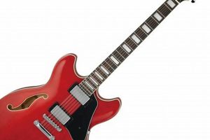 Unveil the Enchanting World of 12-String Hollow Body Electric Guitars - Master the Art of Playing Guitar and Play Like a Pro