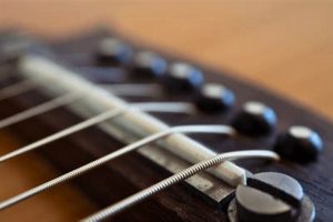 Unleash Your Acoustic Guitar's Potential: Discoveries in Adjustable Bridges Master the Art of Playing Guitar and Play Like a Pro Unleash Your Acoustic Guitar's Potential: Discoveries in Adjustable Bridges - Master the Art of Playing Guitar and Play Like a Pro