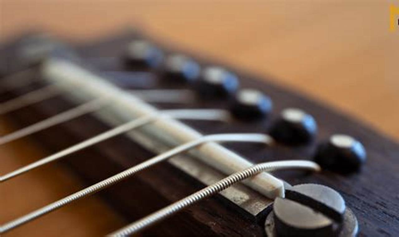 Unleash Your Acoustic Guitar's Potential: Discoveries in Adjustable Bridges Master the Art of Playing Guitar and Play Like a Pro Unleash Your Acoustic Guitar's Potential: Discoveries in Adjustable Bridges - Master the Art of Playing Guitar and Play Like a Pro