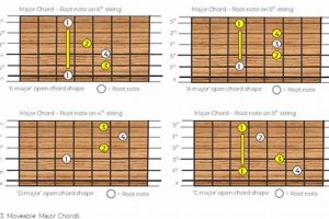Uncover the Secrets of Moveable Chord Shapes: Unlock Limitless Guitar Mastery Master the Art of Playing Guitar and Play Like a Pro Uncover the Secrets of Moveable Chord Shapes: Unlock Limitless Guitar Mastery - Master the Art of Playing Guitar and Play Like a Pro