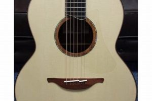 Unveil the Secrets of Alpine Acoustic Guitars: Your Guide to Discoveries - Master the Art of Playing Guitar and Play Like a Pro