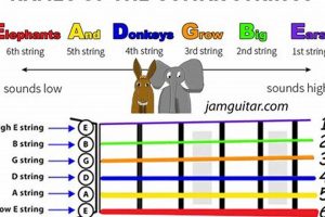 Unleash the Power of 13 Guitar Strings: Discover Sonic Horizons and Master Technicalities Master the Art of Playing Guitar and Play Like a Pro Unleash the Power of 13 Guitar Strings: Discover Sonic Horizons and Master Technicalities - Master the Art of Playing Guitar and Play Like a Pro
