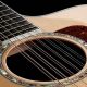 Unleash the Sonic Power of the 12-String Guitar: Discover Its Secrets - Master the Art of Playing Guitar and Play Like a Pro