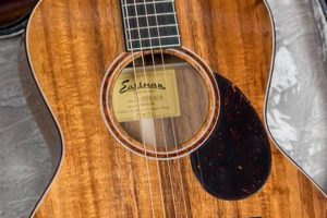 Unveil the Secrets of Acoustic Guitar Mastery: Exploring Eastman's Finest - Master the Art of Playing Guitar and Play Like a Pro