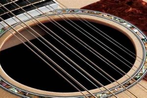 Unveil the Secrets: Strings for 12-String Guitar Mastery - Master the Art of Playing Guitar and Play Like a Pro