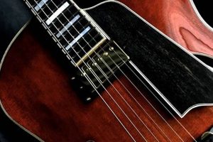 Unlock the Enchanting World of Electric Archtop Guitars - Master the Art of Playing Guitar and Play Like a Pro