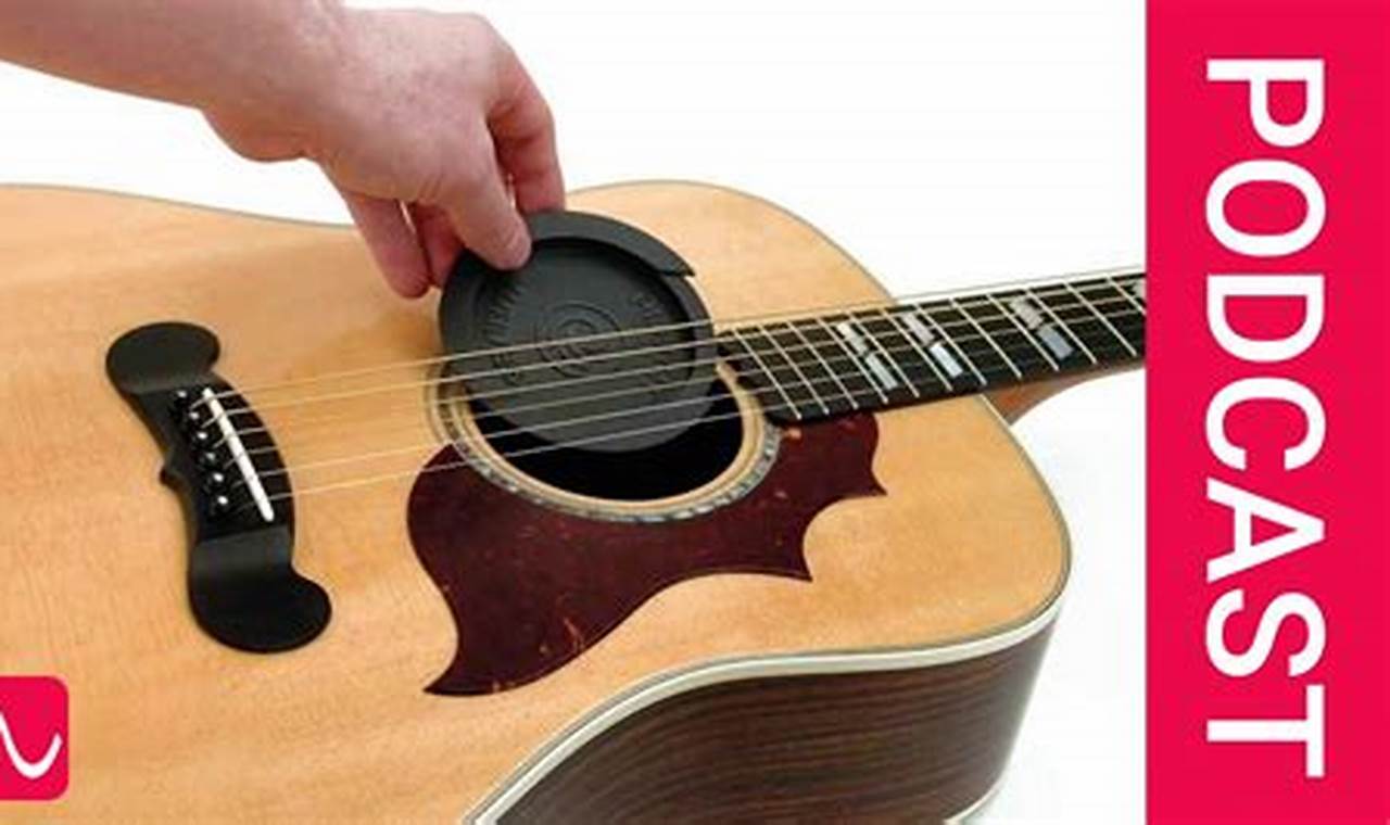 Unleash the Power of Acoustic Guitar Feedback: Discoveries and Insights - Master the Art of Playing Guitar and Play Like a Pro