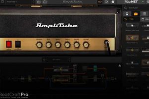 Discover the Secrets of Electric Guitar Amp Plugins and Unleash Your Sonic Potential - Master the Art of Playing Guitar and Play Like a Pro