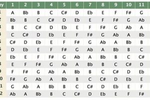 Unlock the Secrets of Guitar Chords: Discover the Power of Transposition Charts - Master the Art of Playing Guitar and Play Like a Pro