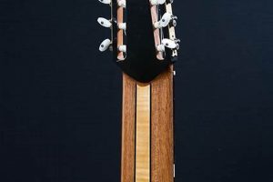 Unlock the Secrets of Ten String Guitar Tuning: A Journey of Sonic Exploration - Master the Art of Playing Guitar and Play Like a Pro