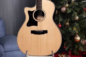 Unveiling the Symphony of Acoustic Guitar Gifts: Discoveries and Insights for the Acoustic Niche - Master the Art of Playing Guitar and Play Like a Pro