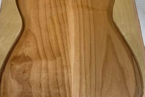 Unlock the Secrets of Electric Guitar Body Blanks: A Journey to Tonal Nirvana - Master the Art of Playing Guitar and Play Like a Pro