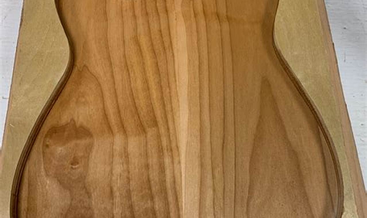 Unlock the Secrets of Electric Guitar Body Blanks: A Journey to Tonal Nirvana - Master the Art of Playing Guitar and Play Like a Pro