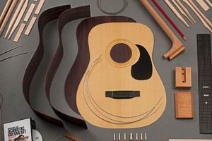 Unlock the Secrets of Crafting Your Dream Acoustic Guitar: A Guide to DIY Kits - Master the Art of Playing Guitar and Play Like a Pro