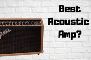 Unveiling the Secrets to Finding the Perfect Acoustic Amp on a Budget Master the Art of Playing Guitar and Play Like a Pro Unveiling the Secrets to Finding the Perfect Acoustic Amp on a Budget - Master the Art of Playing Guitar and Play Like a Pro