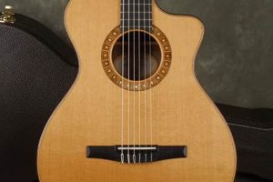 Unveil the Secrets: Discover the Best Nylon String Guitar Under $500 - Master the Art of Playing Guitar and Play Like a Pro