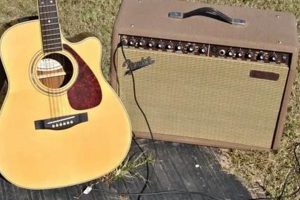 Best Budget Acoustic Guitar Amp Master the Art of Playing Guitar and Play Like a Pro Best Budget Acoustic Guitar Amp - Master the Art of Playing Guitar and Play Like a Pro