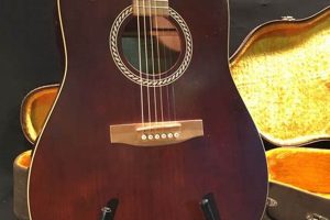 Unveiling the Secrets of Art & Lutherie: Discoveries and Insights for the Acoustic Niche - Master the Art of Playing Guitar and Play Like a Pro
