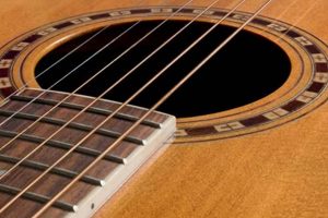 Uncover the Secrets of the Best Low Action Acoustic Guitars: Your Guide to Exceptional Playability - Master the Art of Playing Guitar and Play Like a Pro