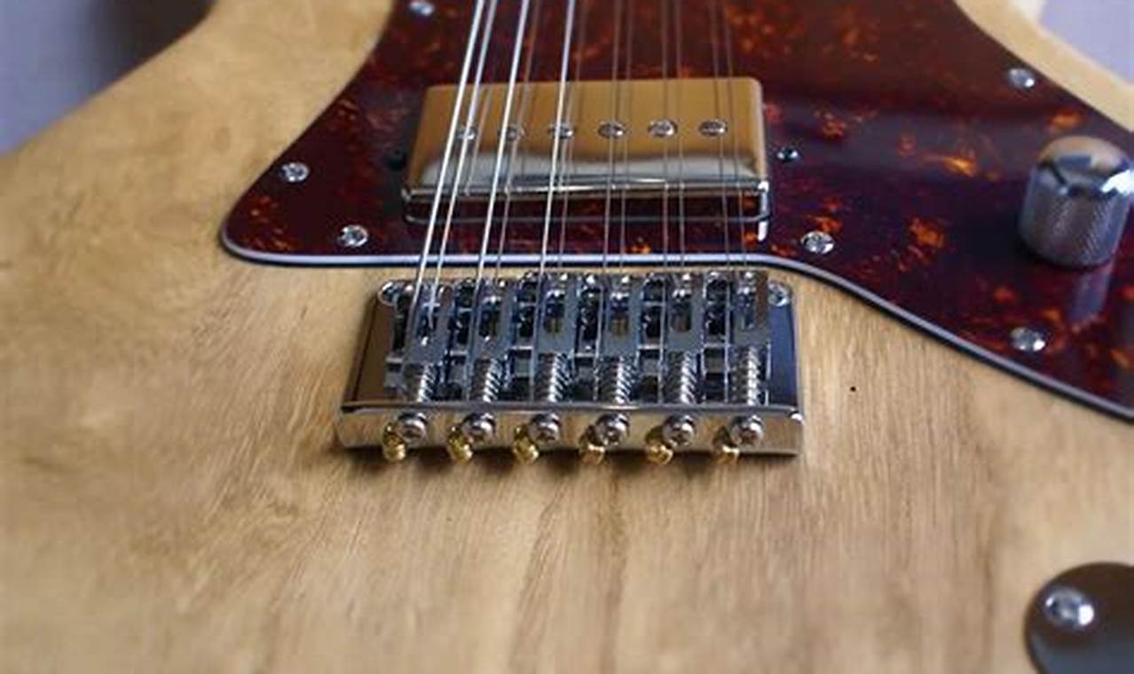 Unveiling the Secrets of Electric Guitar Bridges: A Journey to Tonal Perfection - Master the Art of Playing Guitar and Play Like a Pro