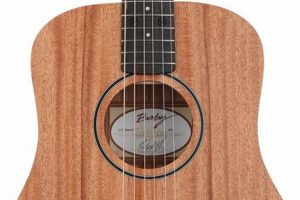 Discover the Secrets of the Best Short Scale Acoustic Guitars - Master the Art of Playing Guitar and Play Like a Pro