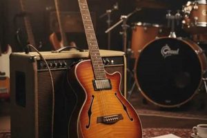 Unveiling the Secrets of the Best Thinline Acoustic Guitar: A Journey of Sound and Discovery - Master the Art of Playing Guitar and Play Like a Pro