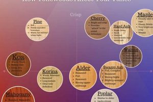 Unlock the Secrets of Electric Guitar Woods: Discover the Perfect Tone - Master the Art of Playing Guitar and Play Like a Pro