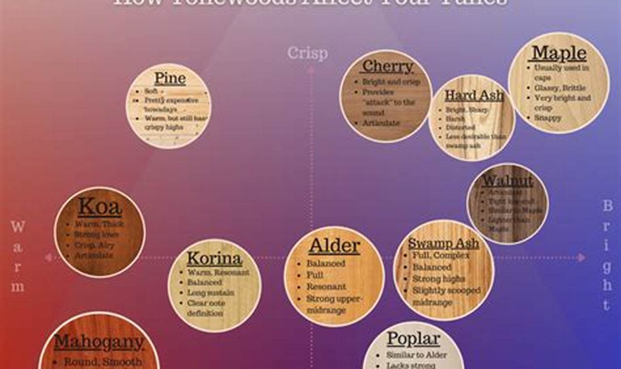 Unlock the Secrets of Electric Guitar Woods: Discover the Perfect Tone - Master the Art of Playing Guitar and Play Like a Pro