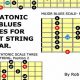 Unleash the Power of Eight String Guitar Scales: Discover New Horizons and Expand Your Musicality - Master the Art of Playing Guitar and Play Like a Pro