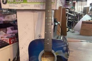 Unveiling the Masterpiece: Discoveries in Blue Johnson Acoustic Guitars for Acoustic Enthusiasts - Master the Art of Playing Guitar and Play Like a Pro